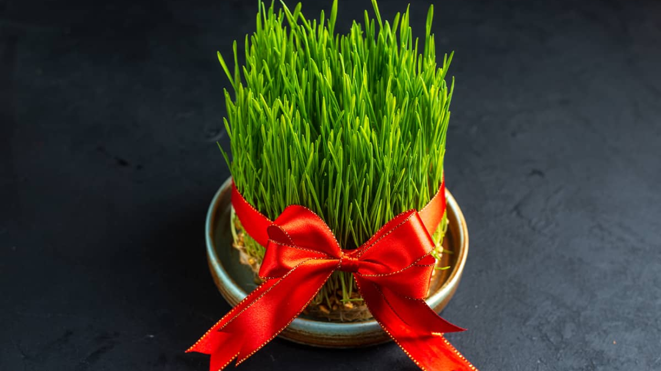 راهکارهای فروش پوشاک عید نوروز، برای افزایش فروش در عید نوروز چه کار کنیم؟