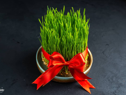 راهکارهای فروش پوشاک عید نوروز، برای افزایش فروش در عید نوروز چه کار کنیم؟