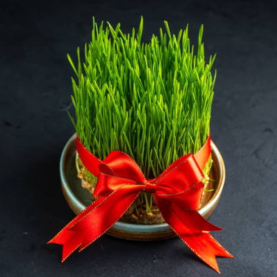 راهکارهای فروش پوشاک عید نوروز، برای افزایش فروش در عید نوروز چه کار کنیم؟